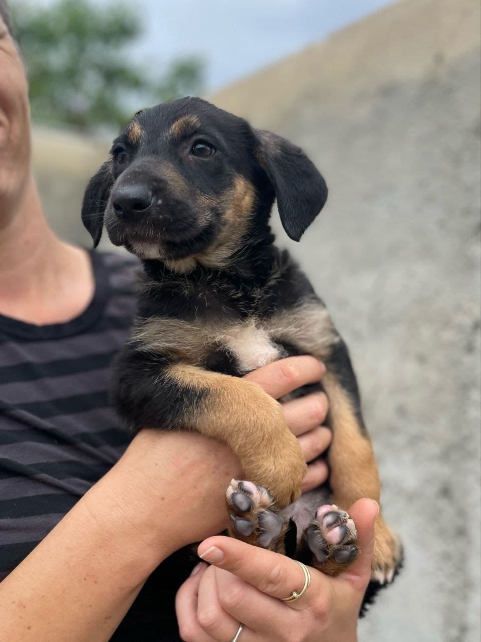 Zira